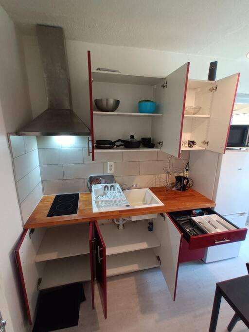 Studio Cosy Sur Mulhouse Centre Lejlighed Eksteriør billede